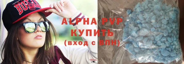 шишки Магас