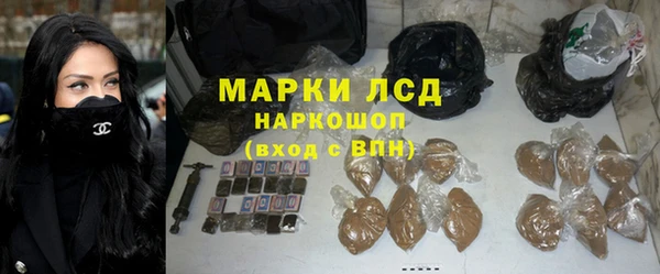 шишки Магас