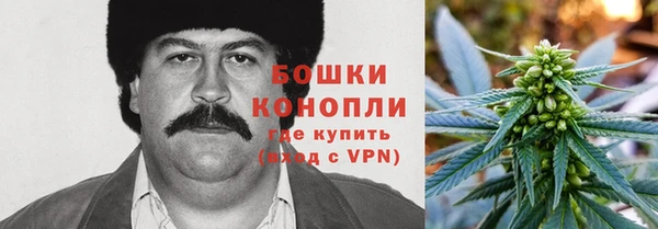 ГАЛЛЮЦИНОГЕННЫЕ ГРИБЫ Майский