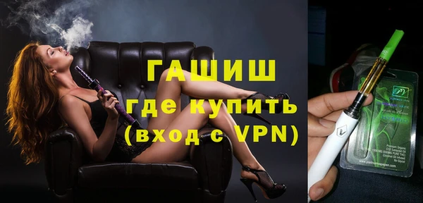 шишки Магас