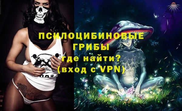 шишки Магас