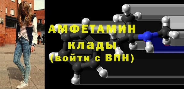 шишки Магас