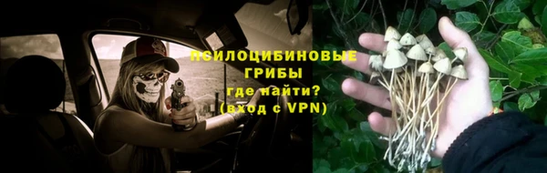 шишки Магас