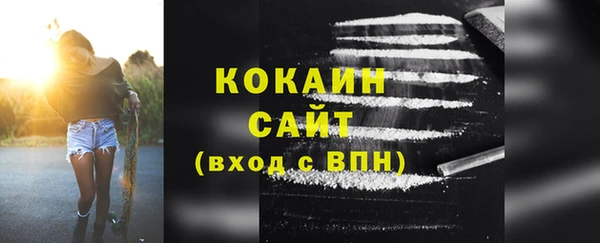 шишки Магас