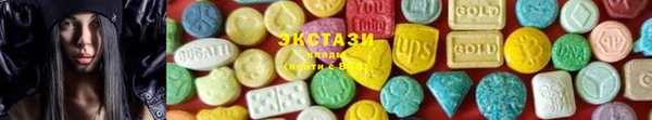 шишки Магас