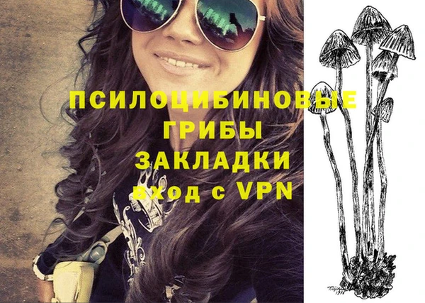 шишки Магас