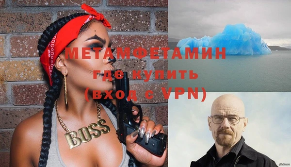 шишки Магас