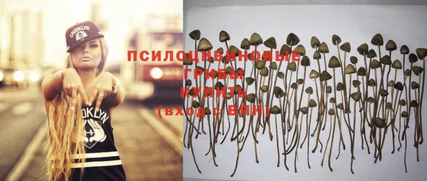 ешки Тутаев