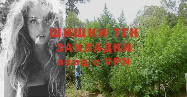 амф Протвино