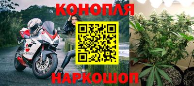 эйфоретик Ставрополь