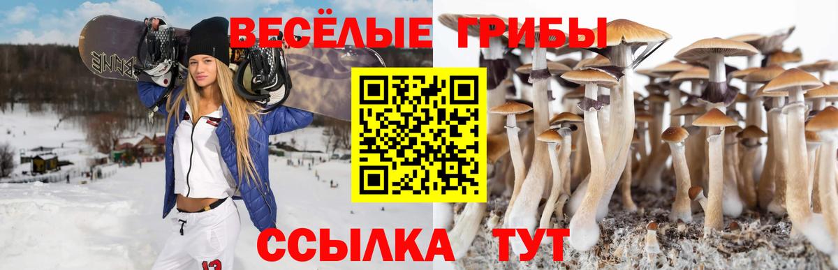 Галлюциногенные грибы MAGIC MUSHROOMS  сколько стоит  Янаул  Вход с VPN 